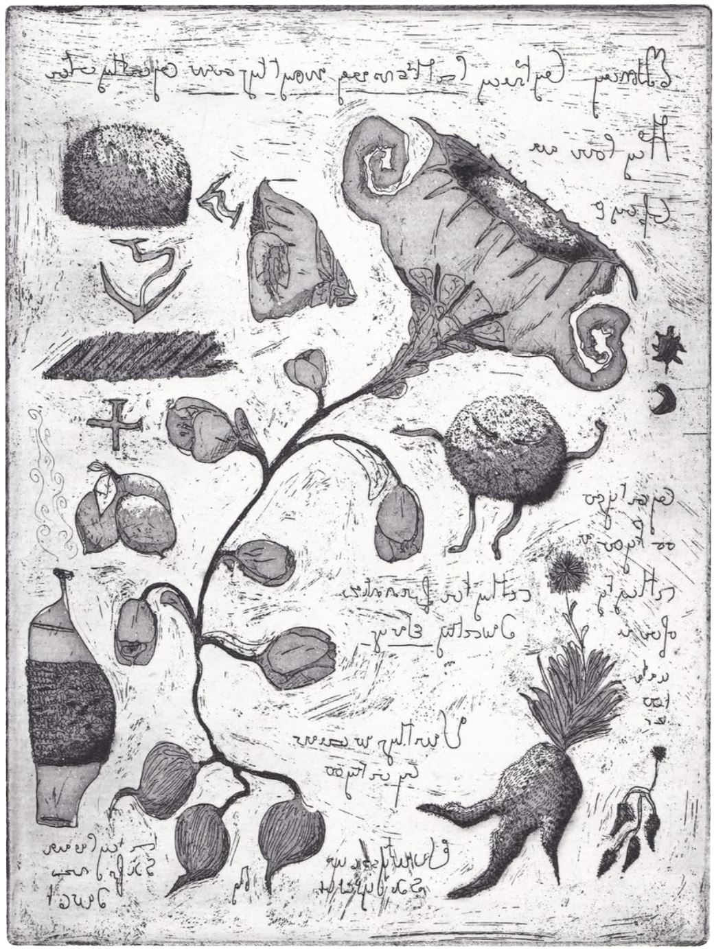 Image du projet Herbier