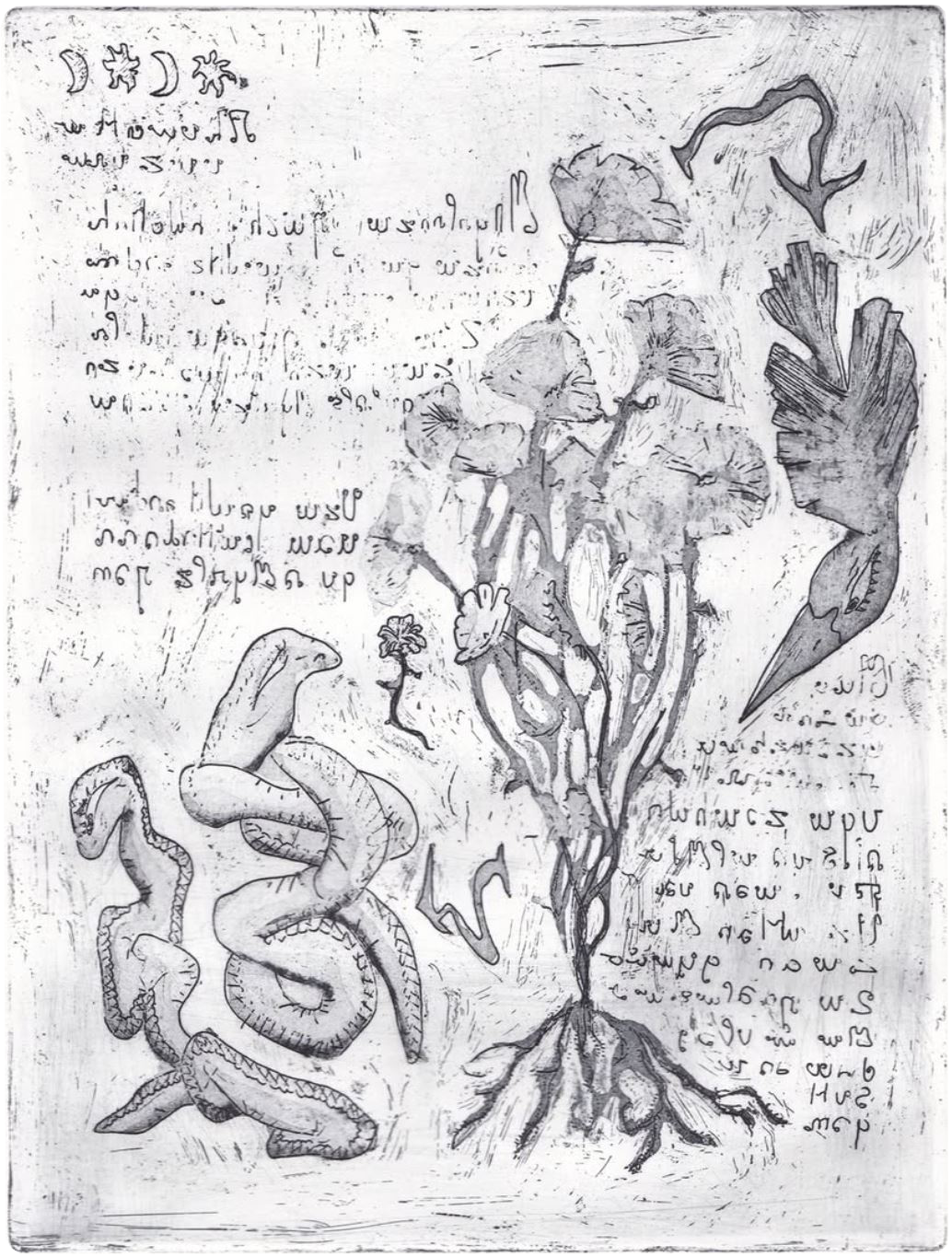 Image du projet Herbier