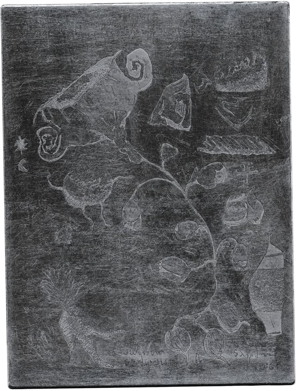 Image du projet Herbier